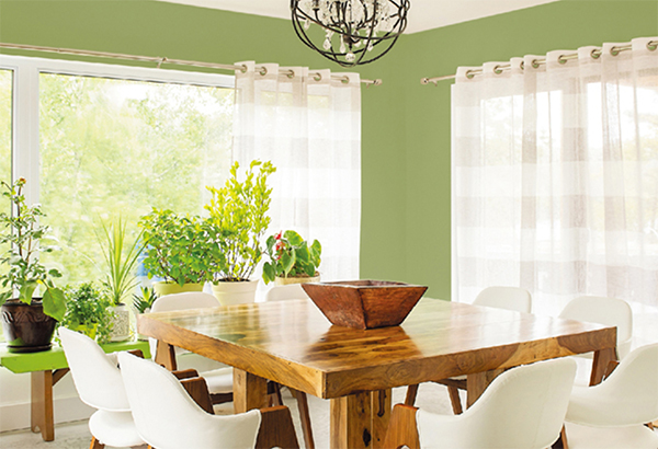 涂料.jpg 涂料.jpg